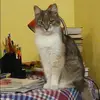 Отзыв от Лилия Алехина
